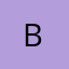 Logo Berbix