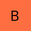 Logo Brady Corp
