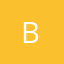 Logo Brunel Belgium