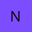 Logo Naukripay group