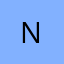 Logo Nordic