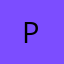 Logo Parisa Wang