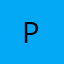Logo People 4 Projects