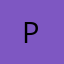 Logo Physical Superintelligence