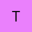 Logo Terra