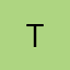 Logo Triwill Group