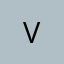 Logo Vans