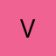 Logo Viget