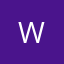 Logo WidNet