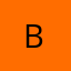 Logo bina