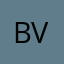 Bram Visser comment