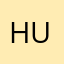 hugo_trava comment
