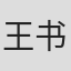 王书乐 in Benchmark Consulting